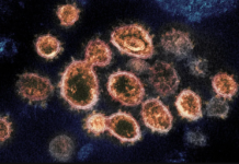 巴西新冠阳性检出率急剧上升 感染潮或将持续4至6周