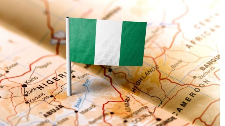 中国欢迎尼日利亚成为金砖国家合作伙伴国