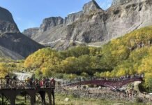 海外华媒吉林行:感知“五色吉林”的多元脉动与时代新声