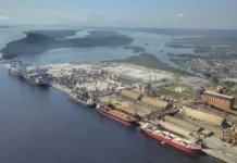 中国跃升为巴西食品最大买家,美国加征关税反致市场流向转移