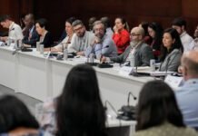 中国与欧盟加入巴西发起的碳市场联盟