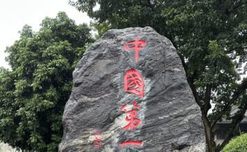 这座川东南城市,如何让酒香飘向世界