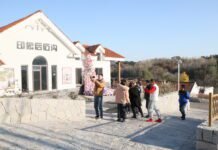 海外媒体探究青岛乡村振兴 “古村新貌”彰显城市多元魅力