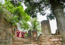 广元昭化:传承文脉兴文旅 千年蜀道焕光彩