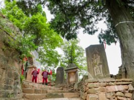 广元昭化:传承文脉兴文旅 千年蜀道焕光彩