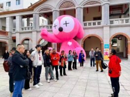 海外华媒体验福建永春白鹤拳 亲身试拳方知功夫深