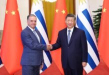 习近平在北京会见乌拉圭总统 呼吁加强全面战略合作