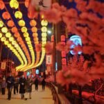 中巴关系迈入新阶段:合作典范与经济发展思考