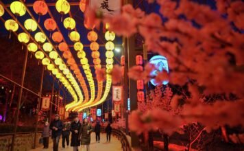 中巴关系迈入新阶段:合作典范与经济发展思考