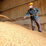 贸易战背景下巴西大豆产业的机遇与挑战