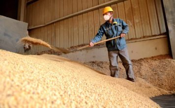 贸易战背景下巴西大豆产业的机遇与挑战