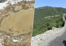 中国力战塔克拉玛干沙漠:前所未有的生态工程挑战