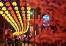 巴西学者:中国模式的成功秘诀及其对巴西的启示