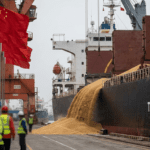 美豆无端涨价8.49%,中国大豆进口格局面临深刻调整