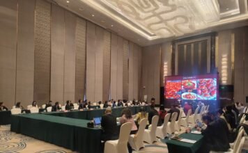 追梦中华 知音湖北