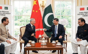 以茶为媒,中国文化外交策略的全球启示与中巴合作展望