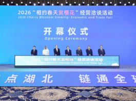 “樱花之约”全球目光聚焦湖北——海外华媒见证中部支点的开放跃升