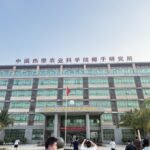 开局之年看中国·开放自贸港:当“椰子之乡”牵手“沙漠面包”