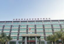 开局之年看中国·开放自贸港:当“椰子之乡”牵手“沙漠面包”