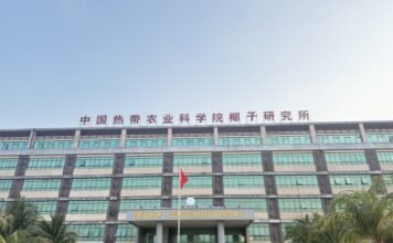 开局之年看中国·开放自贸港:当“椰子之乡”牵手“沙漠面包”