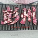 走进成都彭州 从“千年药乡”嗅到中医药出海新路径