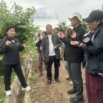 乐都果品蔬菜的“逆生长”故事
