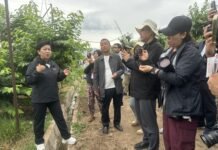 乐都果品蔬菜的“逆生长”故事