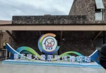 亚洲象“代言”的国际传播论坛:第五届在西双版纳启幕