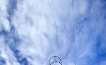 海外华文媒体参访卧龙神树坪基地 聚焦大熊猫繁育救护与野化研究